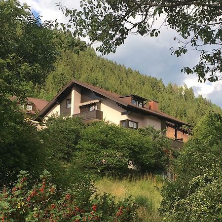 Haus Agnes, Murau Eksteriør bilde
