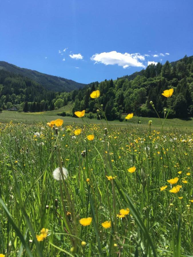 Haus Agnes, Murau Eksteriør bilde