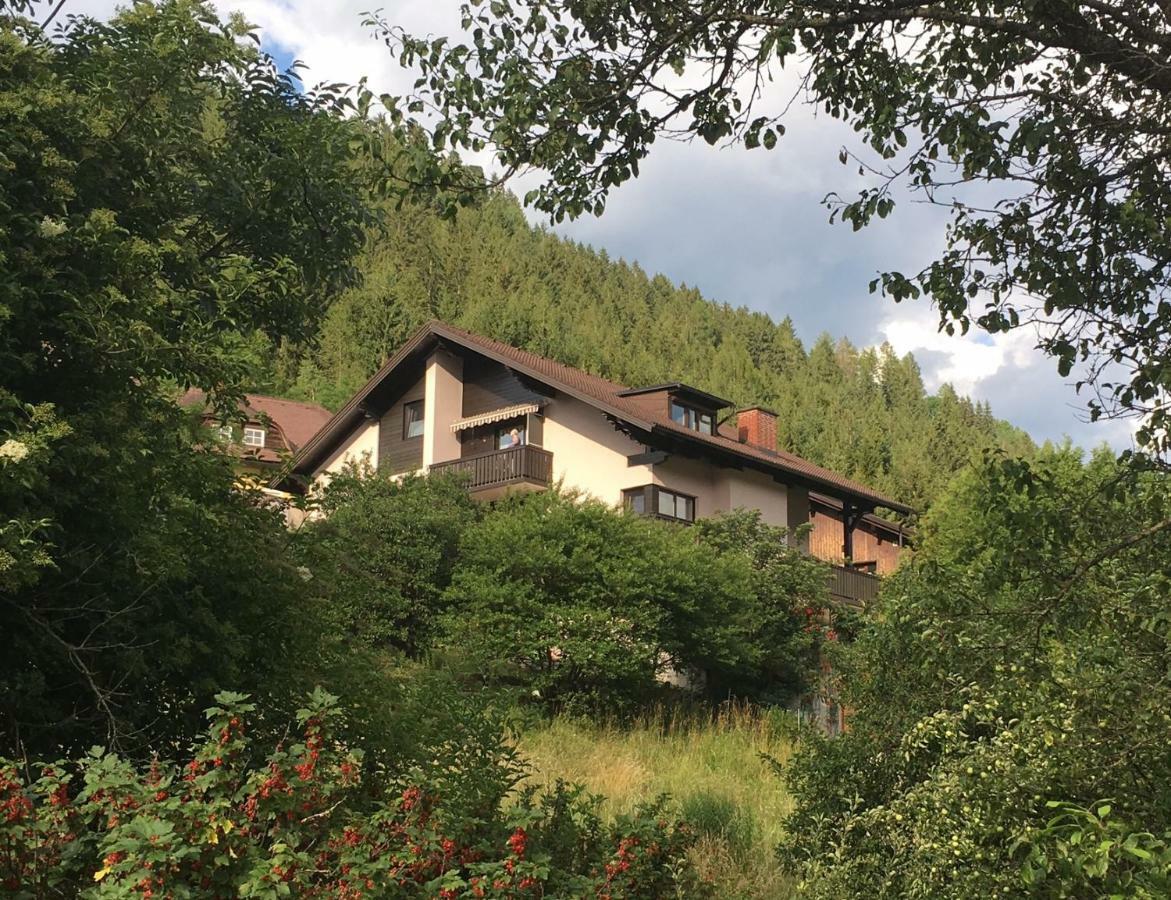 Haus Agnes, Murau Eksteriør bilde